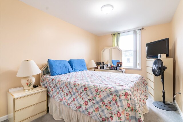659 Snediker Ave, Brooklyn, NY 11207 - photo 19