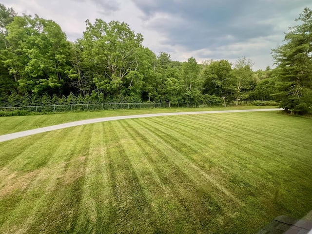 232 Minisink Tpke, Westtown, NY 10998 - view of yard