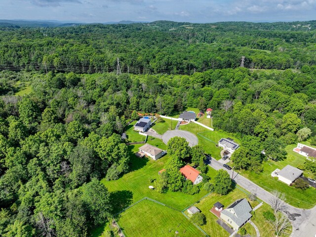 7 Walnut Ct, Goshen, NY 10924 - bird's eye view of a forest