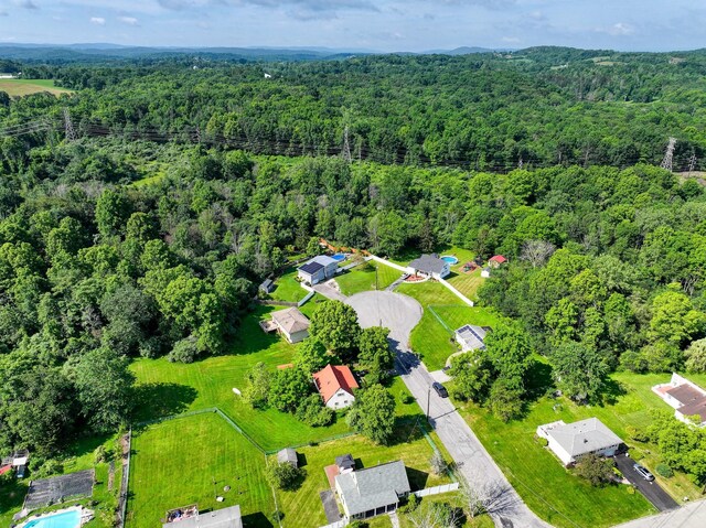 7 Walnut Ct, Goshen, NY 10924 - aerial view of a heavily wooded area