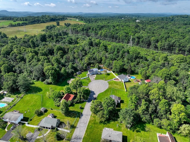7 Walnut Ct, Goshen, NY 10924 - aerial view of a forest
