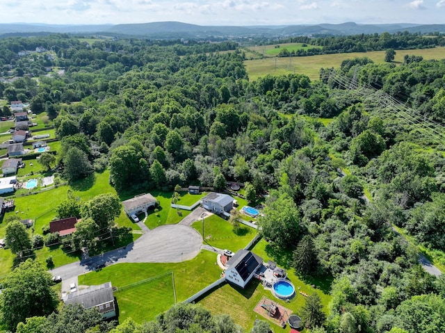 7 Walnut Ct, Goshen, NY 10924 - drone / aerial view of a heavily wooded area