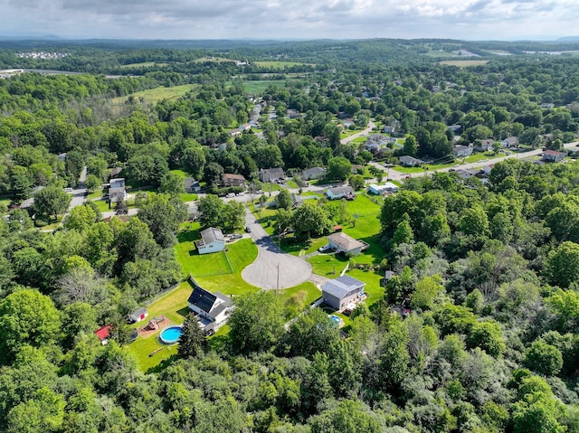 7 Walnut Ct, Goshen, NY 10924 - aerial view of a heavily wooded area