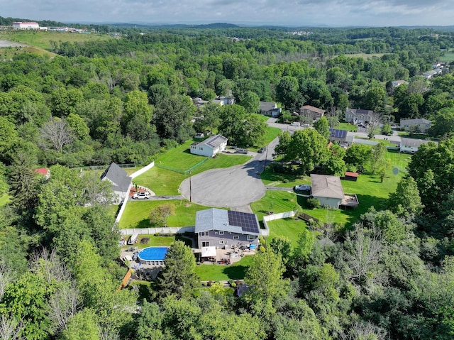 7 Walnut Ct, Goshen, NY 10924 - bird's eye view of a heavily wooded area