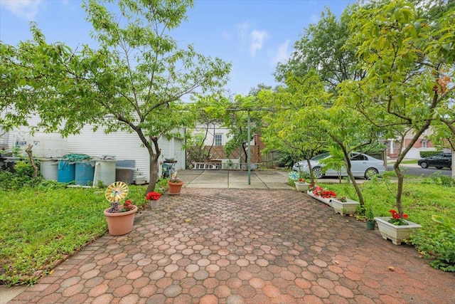 233-04 Seward Ave, Queens Village, NY 11427 - photo 35