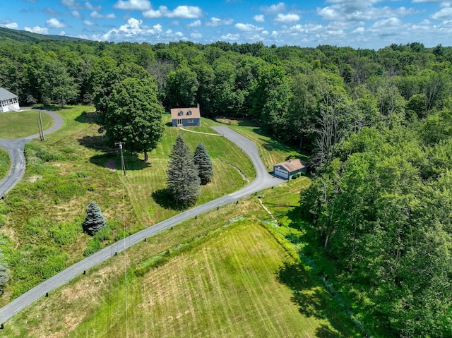 4 Bijou Ln, Otisville, NY 10963 - photo 6