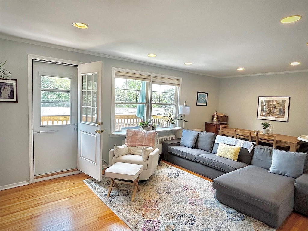 100 Cedar St Unit B43, Dobbs Ferry, NY 10522 - living area featuring ornamental molding, recessed lighting, and light wood-type flooring