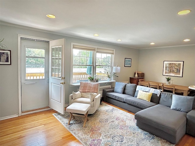 100 Cedar St Unit B43, Dobbs Ferry, NY 10522 - living area featuring ornamental molding, recessed lighting, and light wood-type flooring