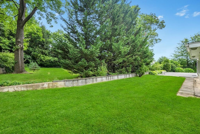 75 Greenleaf Hl, Great Neck, NY 11023 - photo 34