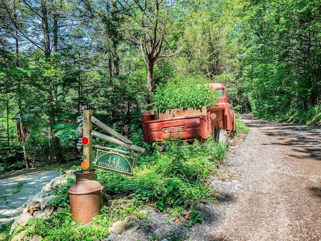 444 Buttermilk Falls Rd, Warwick, NY 10990 - exterior view of a forest and driveway