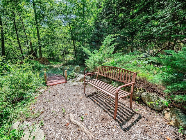 444 Buttermilk Falls Rd, Warwick, NY 10990 - view of community