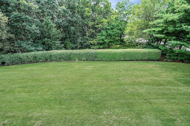 52 Mantack Path, Kings Park, NY 11754 - view of green lawn