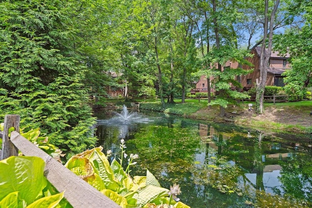 19 Fox Rdg, Roslyn, NY 11576 - photo 29