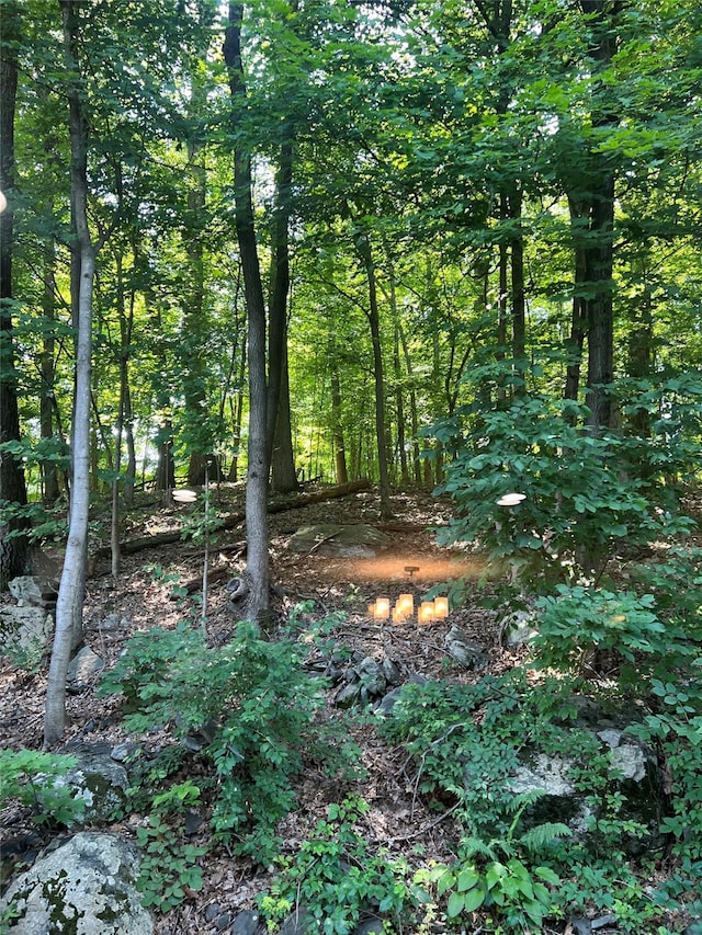 13 Butternut Ct, Highland Mills, NY 10930 - view of local wilderness