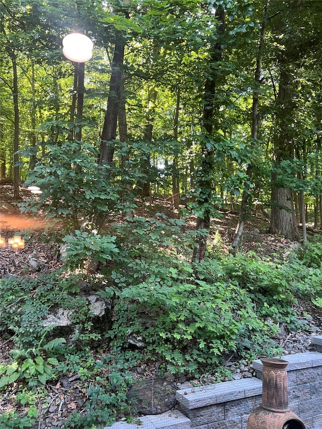 13 Butternut Ct, Highland Mills, NY 10930 - view of nature