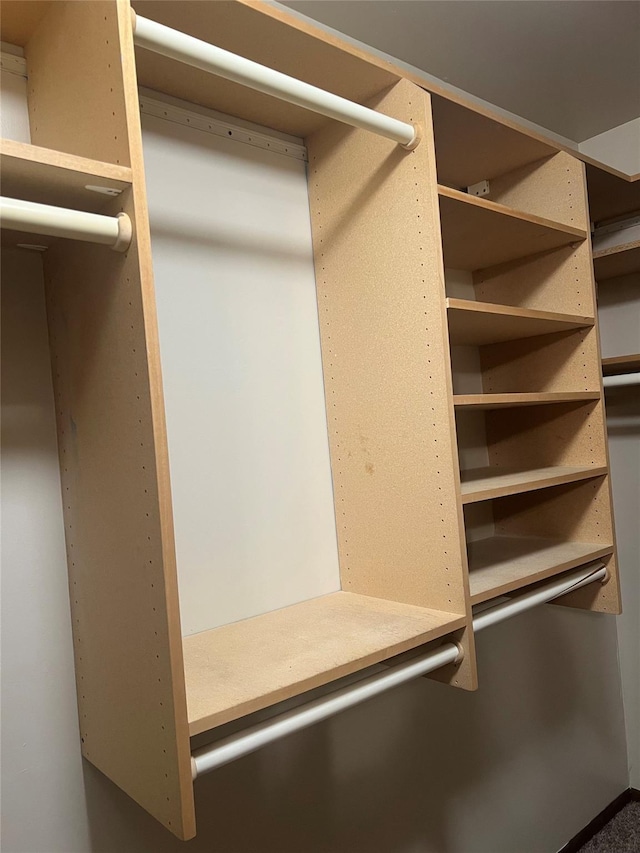 13 Butternut Ct, Highland Mills, NY 10930 - view of walk in closet