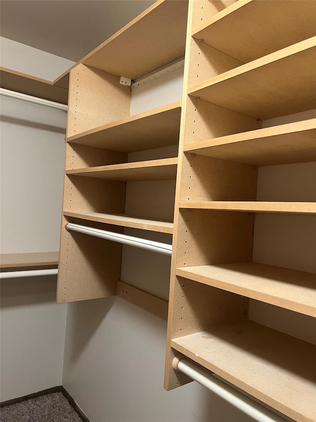 13 Butternut Ct, Highland Mills, NY 10930 - spacious closet with carpet
