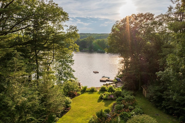 482 Lake Shore Rd, Putnam Valley, NY 10579 - photo 4