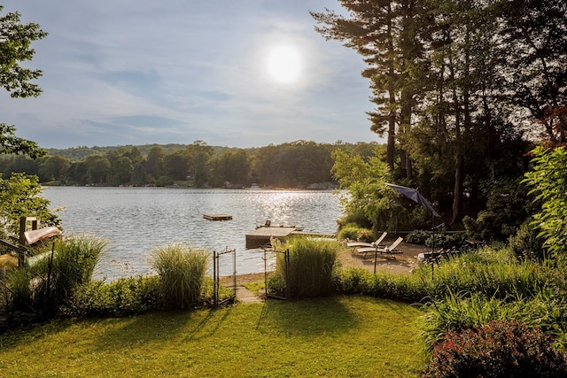 482 Lake Shore Rd, Putnam Valley, NY 10579 - photo 21
