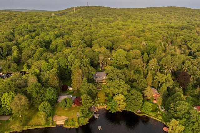 482 Lake Shore Rd, Putnam Valley, NY 10579 - photo 25