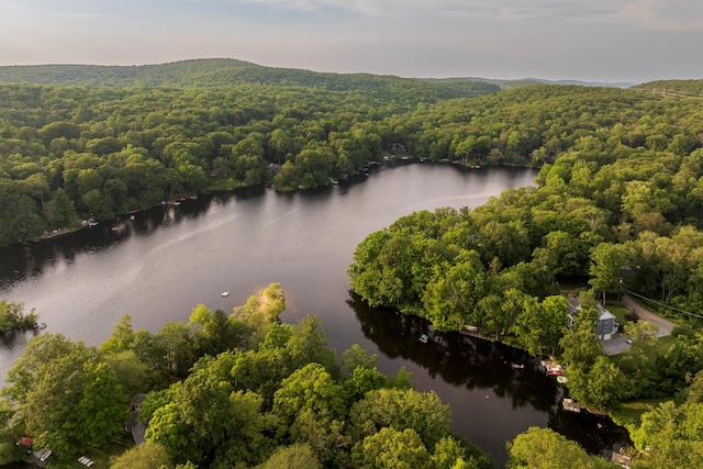 482 Lake Shore Rd, Putnam Valley, NY 10579 - photo 28