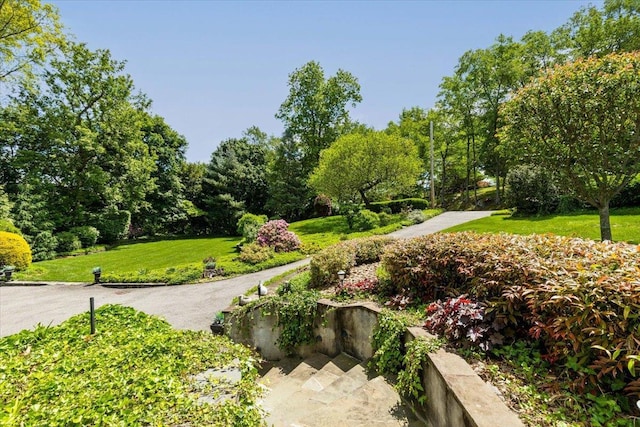 31 Colonial Rd, White Plains, NY 10605 - photo 21