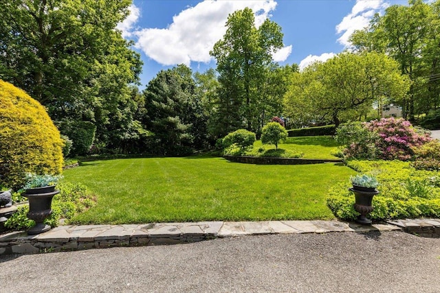 31 Colonial Rd, White Plains, NY 10605 - photo 23