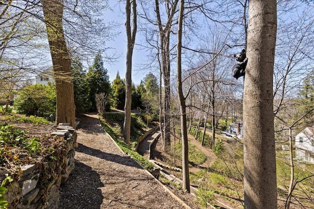 31 Colonial Rd, White Plains, NY 10605 - photo 26