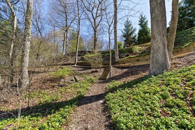 31 Colonial Rd, White Plains, NY 10605 - photo 27