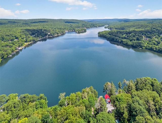53 Mountain View Dr, Holmes, NY 12531 - bird's eye view of a forest and a nearby body of water
