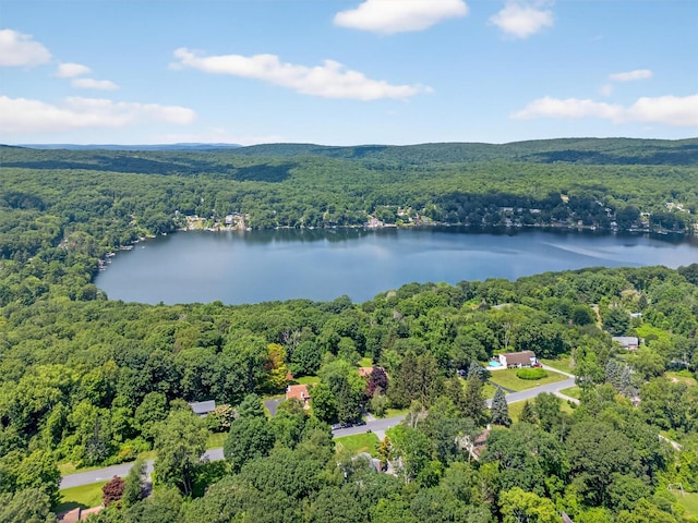 53 Mountain View Dr, Holmes, NY 12531 - aerial view of a forest and a nearby body of water
