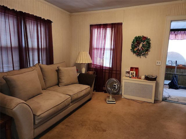 14 W Argyle St, Valley Stream, NY 11580 - carpeted living room featuring crown molding and radiator