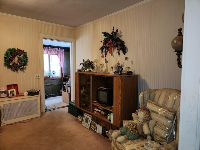 14 W Argyle St, Valley Stream, NY 11580 - sitting room with ornamental molding, carpet flooring, and wood walls