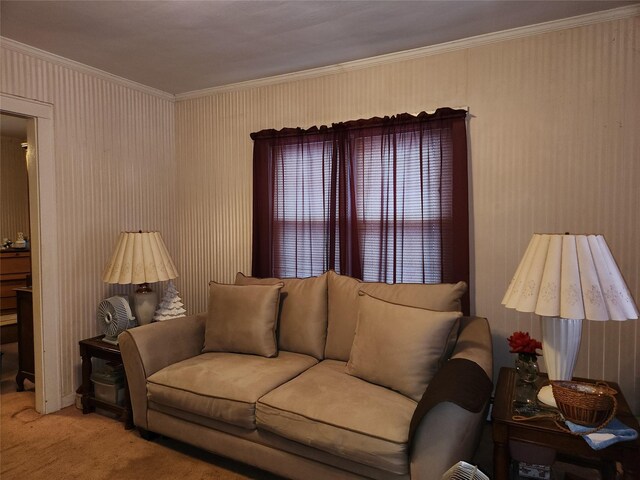 14 W Argyle St, Valley Stream, NY 11580 - living room featuring crown molding and carpet flooring