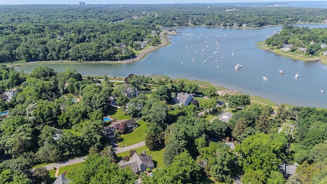 2 White Pine Ln, Setauket, NY 11733 - aerial overview of property's location with a forest and a large body of water