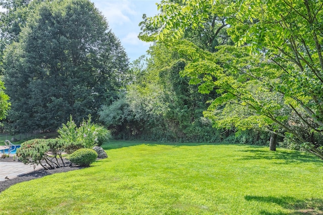 2 White Pine Ln, Setauket, NY 11733 - photo 38