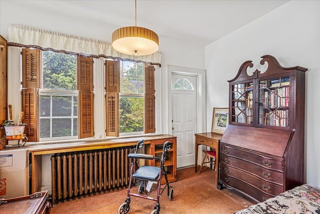 16608 Cryders Ln, Beechhurst, NY 11357 - home office featuring radiator heating unit and carpet