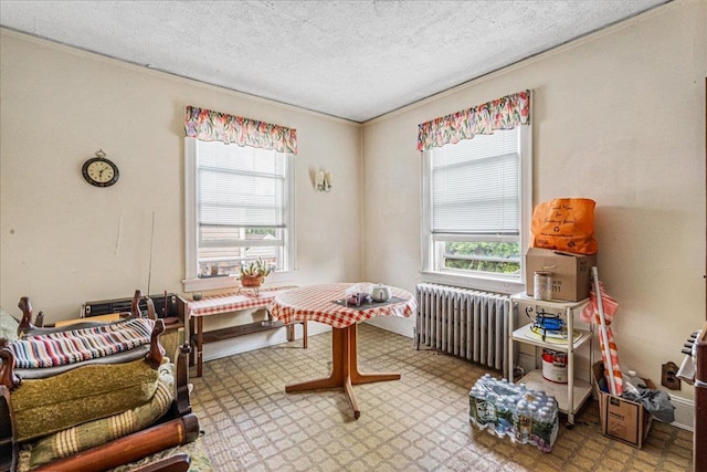 16608 Cryders Ln, Beechhurst, NY 11357 - dining room with radiator, plenty of natural light, and a textured ceiling