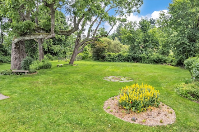 115 Turk Hill Rd, Brewster, NY 10509 - photo 46
