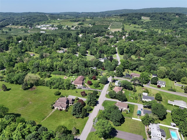 Cricchios Ln, Marlboro, NY 12542 - photo 7