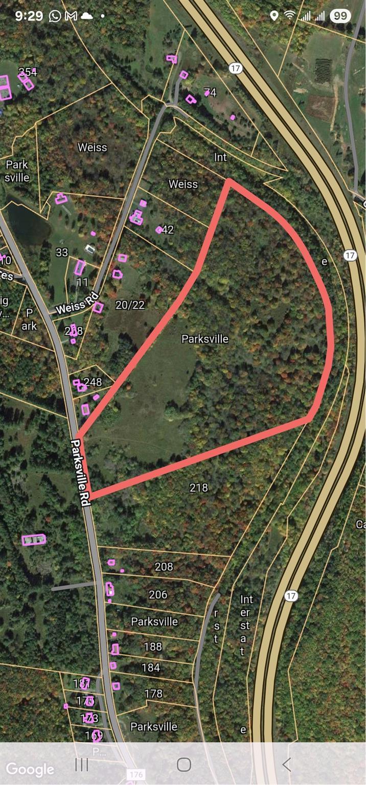 T/B/DParksvilleRoad Parksville Road, Parksville, NY 12768 - photo 1