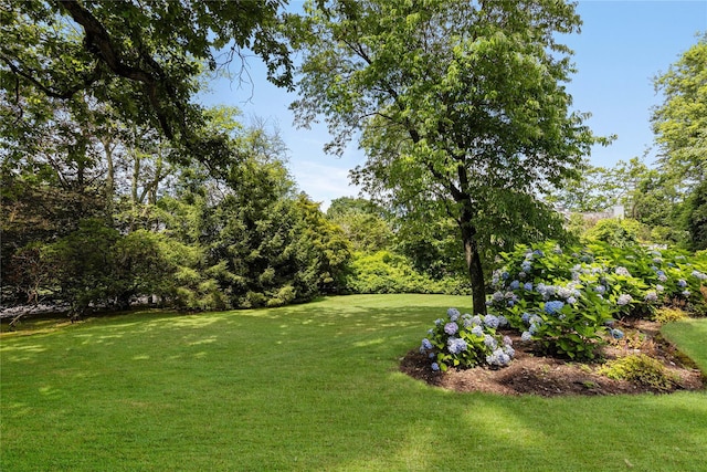 51 Park Rd, Scarsdale, NY 10583 - photo 29