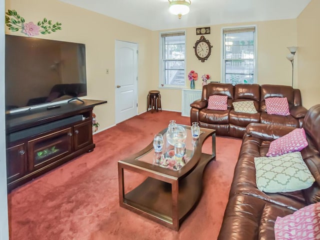 4431 Matilda Ave, Bronx, NY 10470 - view of carpeted living area