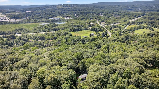 300 Estrada Rd, Central Valley, NY 10917 - photo 7