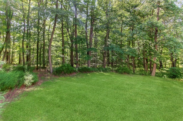 300 Estrada Rd, Central Valley, NY 10917 - photo 10