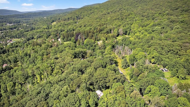 300 Estrada Rd, Central Valley, NY 10917 - photo 13