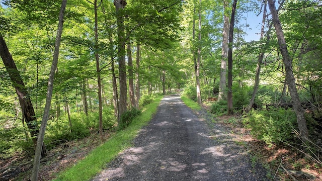 300 Estrada Rd, Central Valley, NY 10917 - photo 14