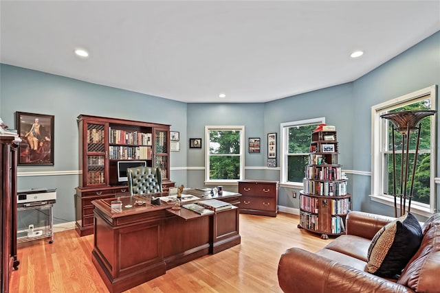 8 Hamlet Way, Hopewell Junction, NY 12533 - office featuring healthy amount of natural light, light wood-style flooring, and recessed lighting