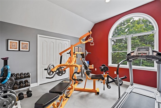 8 Hamlet Way, Hopewell Junction, NY 12533 - workout room with lofted ceiling and baseboards