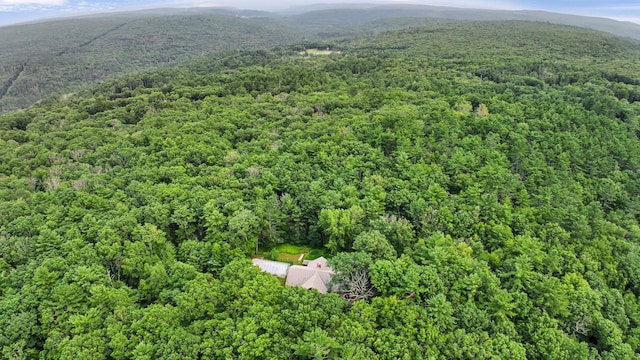 642 County Route 31, Glen Spey, NY 12737 - photo 7